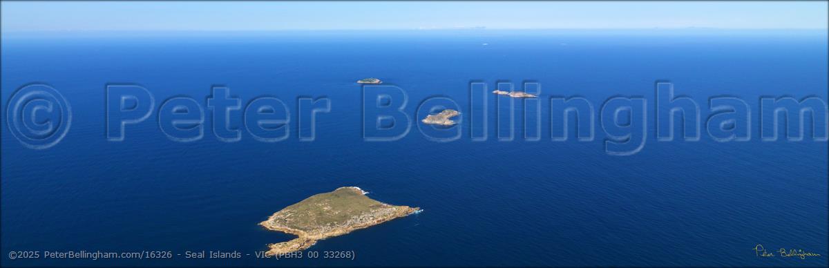 Peter Bellingham Photography Seal Islands - VIC (PBH3 00 33268)